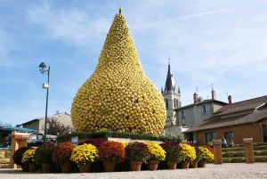 Fête de la poire à Chasselay (Rhône)
