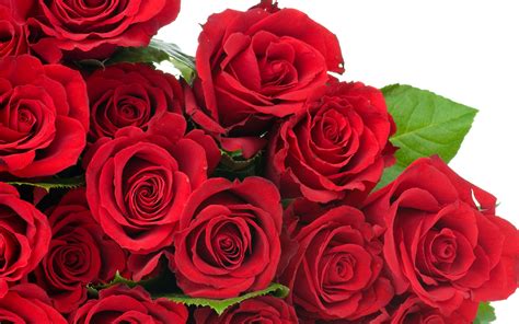 saint valentin