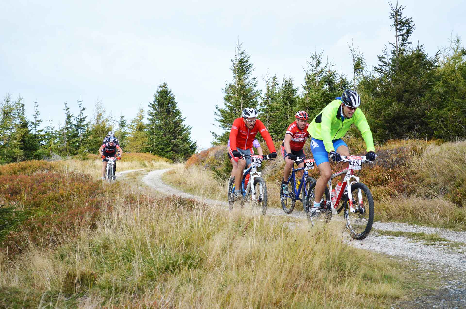 Découvrez les activités autour du gîte