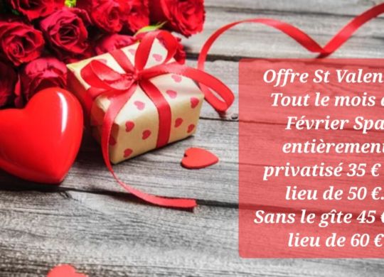 Screenshot_20260208_134707_Samsung Internet